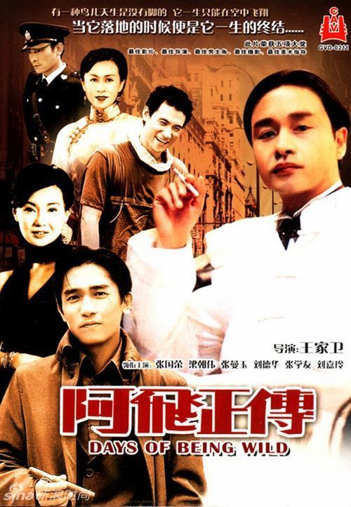 高等数学学历认证报告
